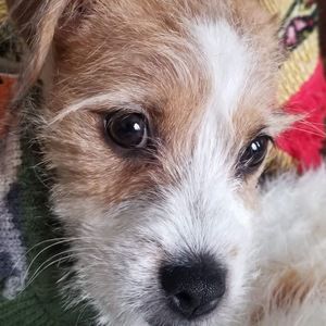 Meet your Posher, Valeria